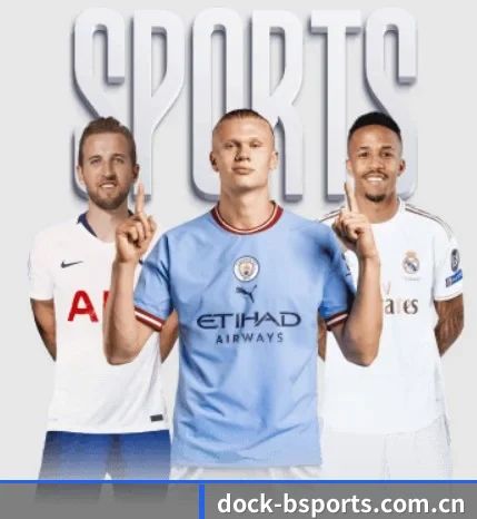 dock-bsports.com.cn的方向